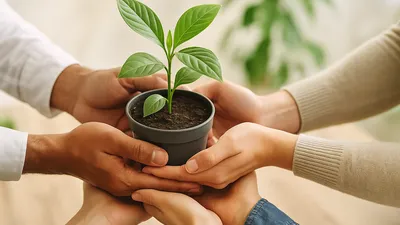 🌿✨ Üdvözlünk a DEDRA csapatában! ✨🌿